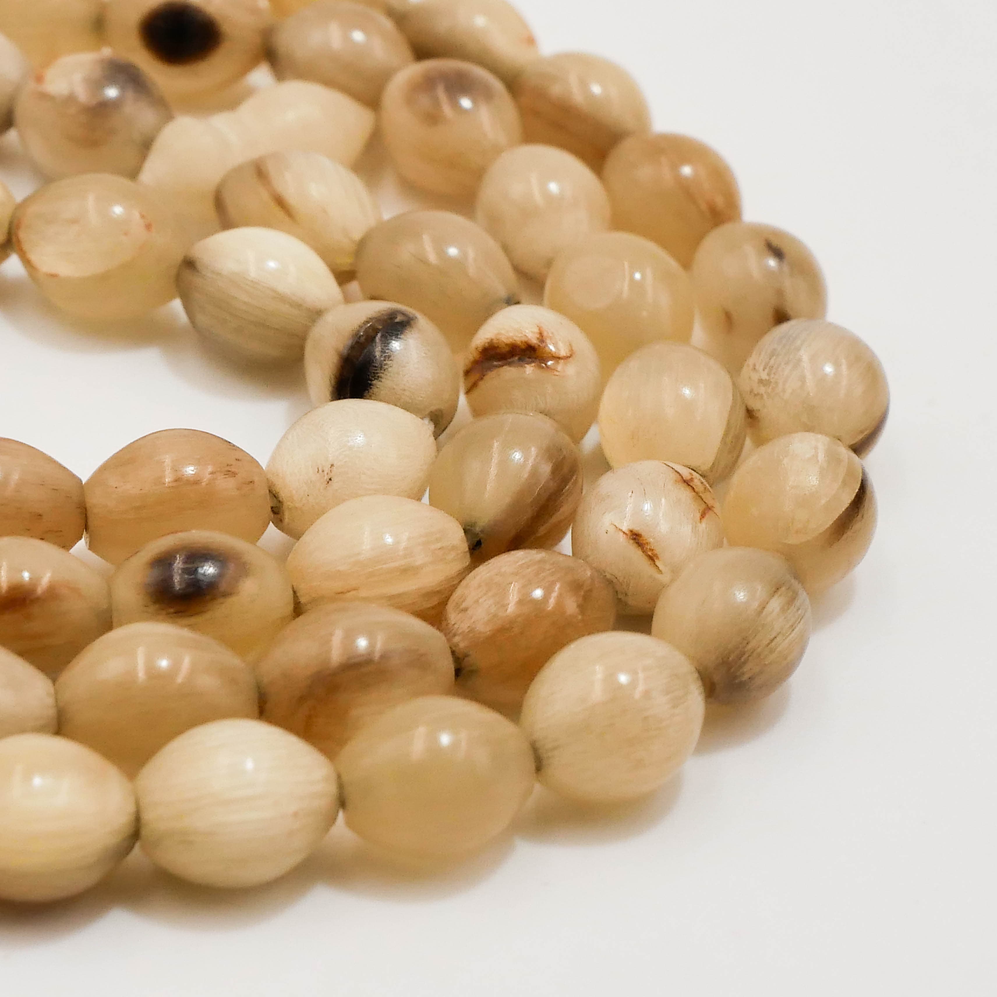 مسباح قرن ضان (خاروف) — صورة معرض 5 من 5