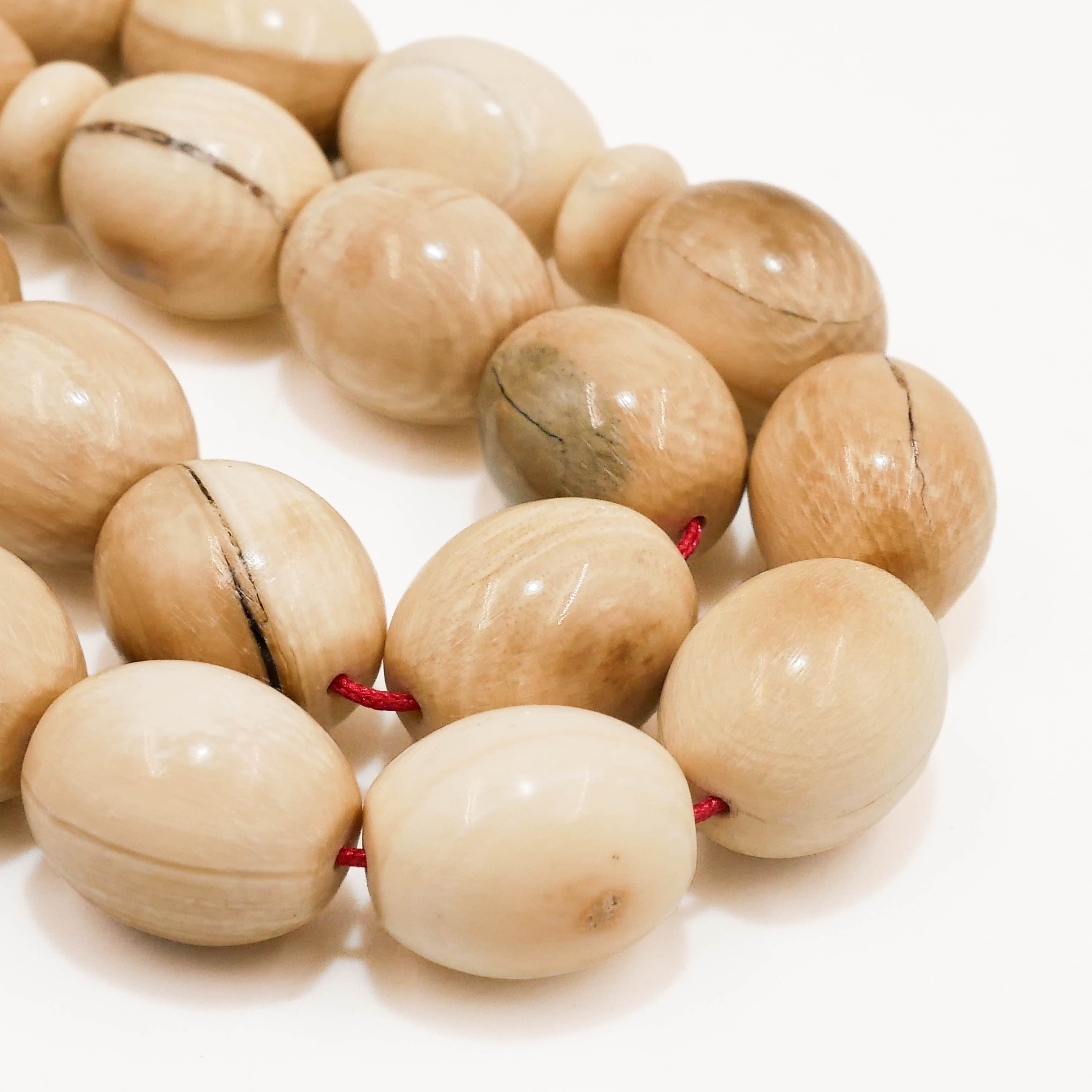 مسباح-ناب ماموث-51587 — صورة معرض 5 من 6